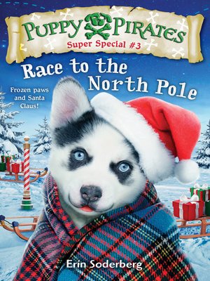 cover image of Race to the North Pole